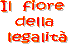 Il  fiore  
della 
legalit